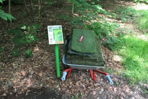 Tee6-Entsorgung