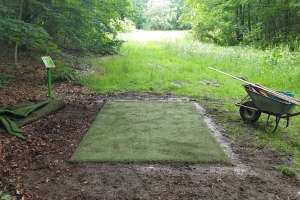 Tee6-Fertig